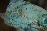 Natural Drusy Coated Chrysocolla Specimens x 3 From Kakanda, Congo - Toprock Gemstones and Minerals 