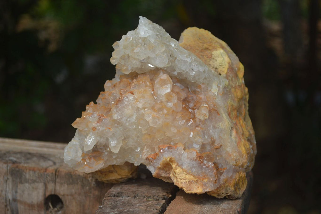 Natural Limonite Tinted Quartz Crystal Specimens  x 2 From Zambia - Toprock Gemstones and Minerals 