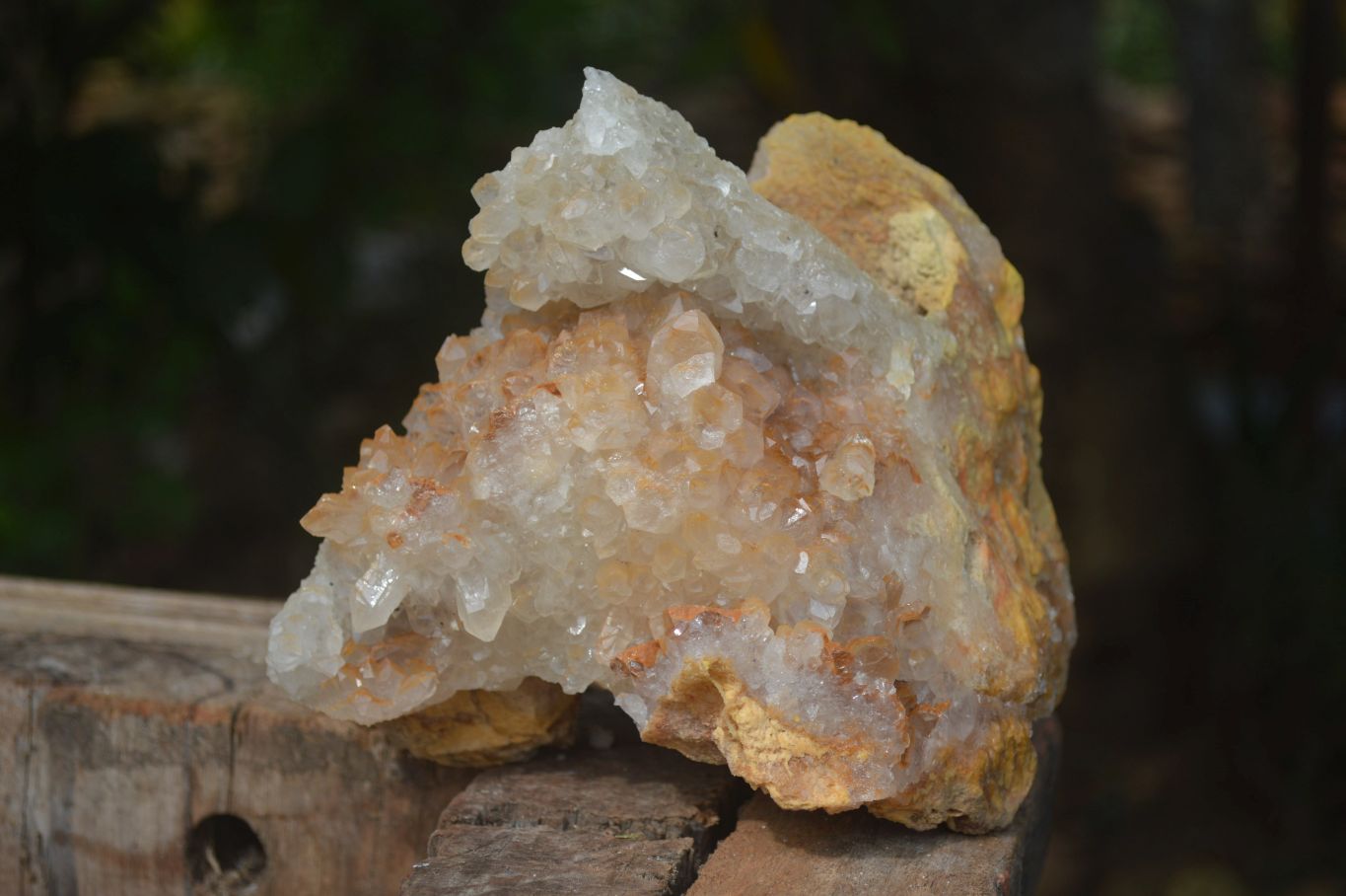 Natural Limonite Tinted Quartz Crystal Specimens  x 2 From Zambia - Toprock Gemstones and Minerals 
