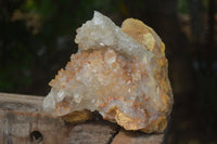 Natural Limonite Tinted Quartz Crystal Specimens  x 2 From Zambia - Toprock Gemstones and Minerals 