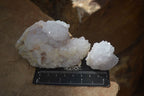Natural White Cactus Flower Spirit Quartz Specimens x 12 From Boekenhouthoek, South Africa - Toprock Gemstones and Minerals 