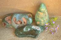 Polished Green Mtorolite "AKA Chrome/Emerald Chrysoprase" Free Forms x 3 From Zimbabwe - TopRock