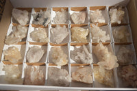 Natural Clear Quartz Crystal Clusters  x 24 From Madagascar - Toprock Gemstones and Minerals 