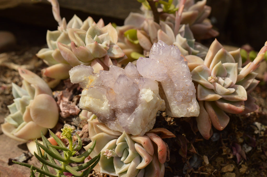Polished Gorgeous Mixed Selection Of Lilac Spirit Quartz Clusters  x 16 From Boekenhouthoek, South Africa - TopRock