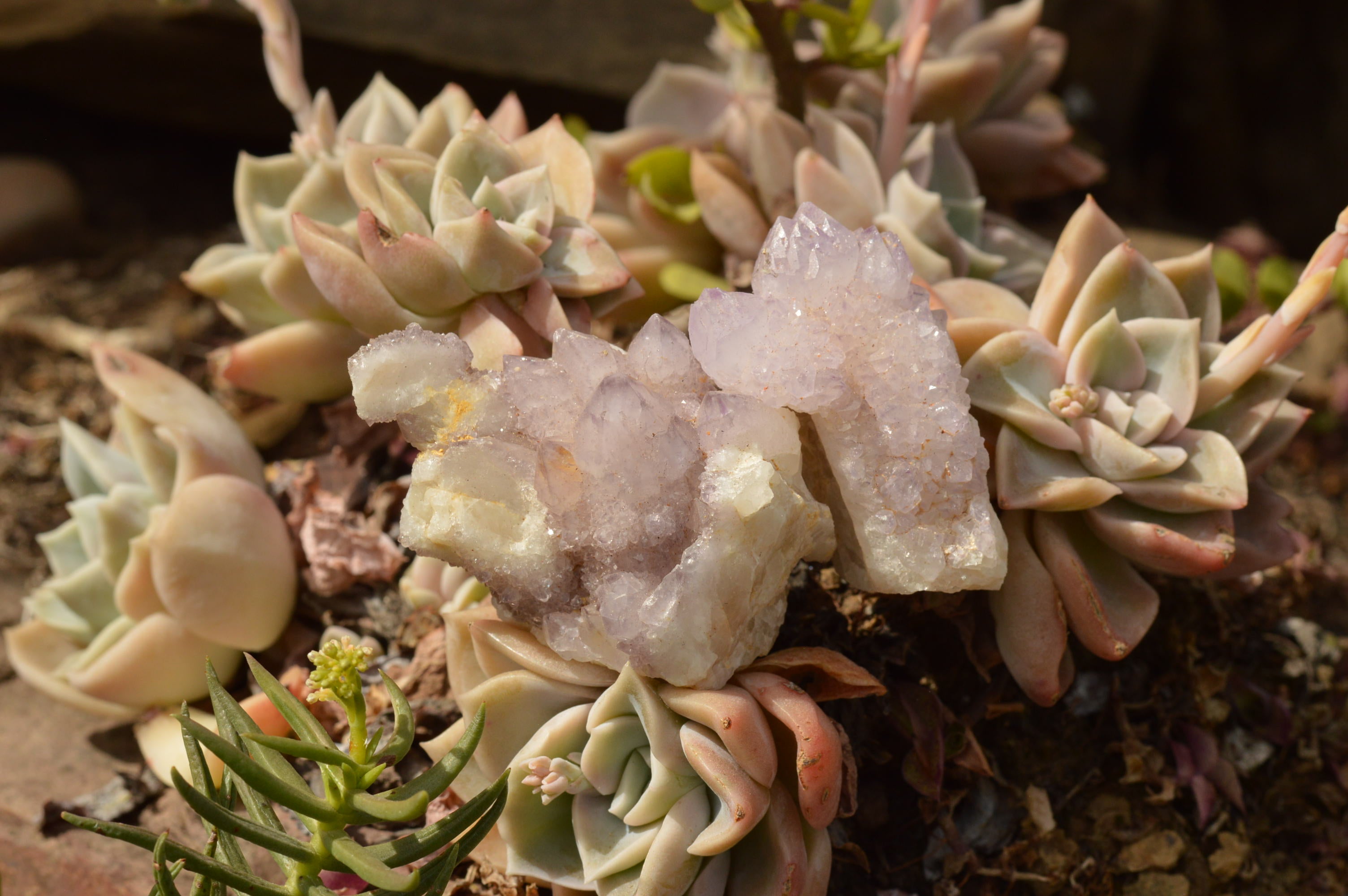 Polished Gorgeous Mixed Selection Of Lilac Spirit Quartz Clusters  x 16 From Boekenhouthoek, South Africa - TopRock