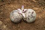 Polished Pink Tourmaline Rubellite Spheres  x 2 From Madagascar - TopRock