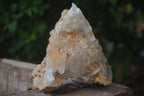 Natural Limonite Tinted Quartz Crystal Specimens  x 2 From Zambia - Toprock Gemstones and Minerals 