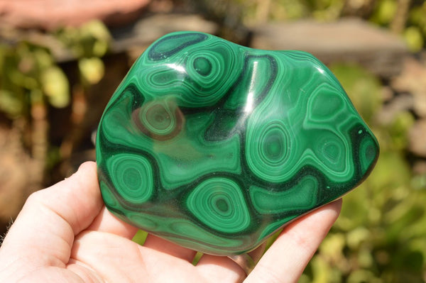 Polished Malachite Free Forms With Stunning Flower & Banding Patterns x 3 From Congo