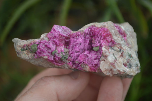 Natural Pink Salrose Cobaltion Dolomite Specimens  x 6 From Congo