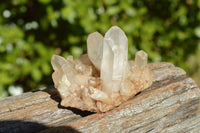 Natural Small Mixed Quartz Clusters x 35 From Madagascar - TopRock