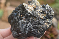 Natural Schorl Black Tourmaline Specimens  x 2 From Erongo Mountains, Namibia - TopRock