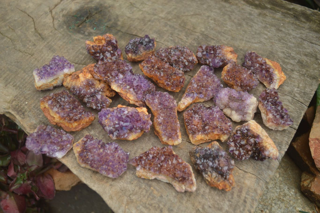 Natural Small Dark "Amethystos" Amethyst Clusters  x 35 From Kwaggafontein, South Africa - Toprock Gemstones and Minerals 