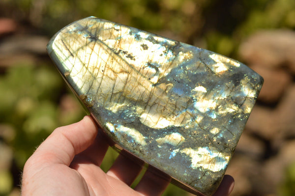 Polished Blue & Gold Labradorite Standing Free Forms  x 2 From Tulear, Madagascar - TopRock