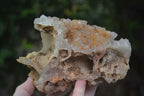 Natural Limonite Tinted Quartz Crystal Specimens  x 2 From Zambia - Toprock Gemstones and Minerals 