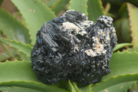 Natural Schorl Black Tourmaline Specimens  x 2 From Erongo Mountains, Namibia - TopRock