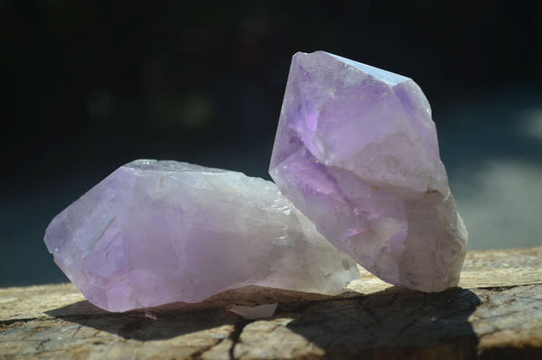 Natural Jacaranda Amethyst Crystals  x 12 From Mumbwa, Zambia - Toprock Gemstones and Minerals 