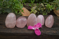 Polished Gemmy Pink Rose Quartz Standing Free Forms  x 5 From Ambatondrazaka, Madagascar - TopRock
