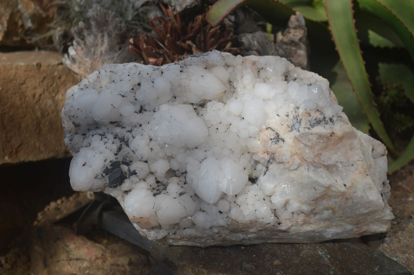 Natural Extra Large Cascading Candle Quartz Cluster  x 1 From Madagascar - Toprock Gemstones and Minerals 