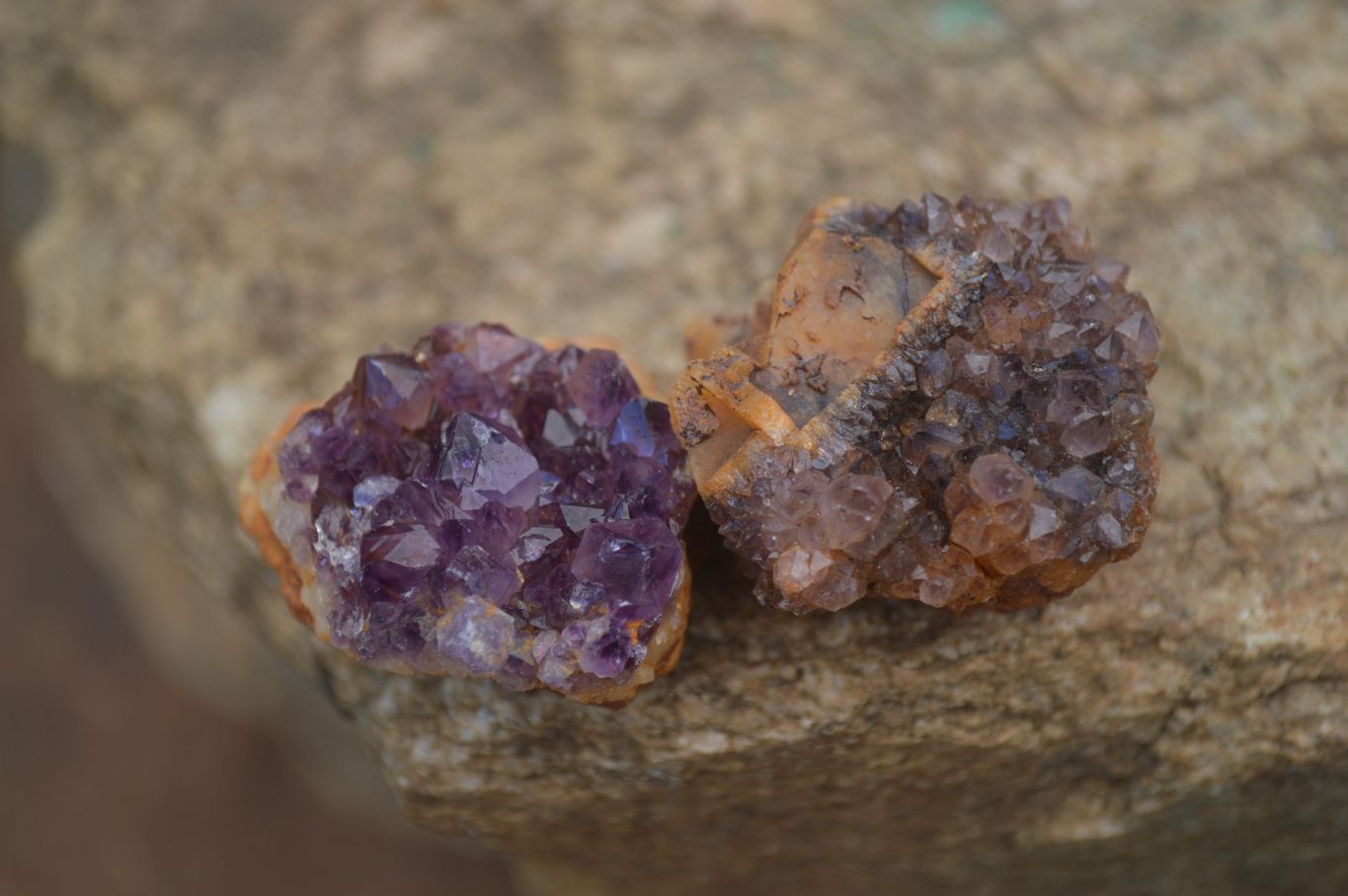 Natural Small Dark "Amethystos" Amethyst Clusters  x 35 From Kwaggafontein, South Africa - Toprock Gemstones and Minerals 