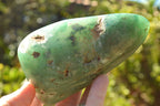 Polished Green Mtorolite "AKA Chrome/Emerald Chrysoprase" Free Forms x 3 From Zimbabwe - TopRock