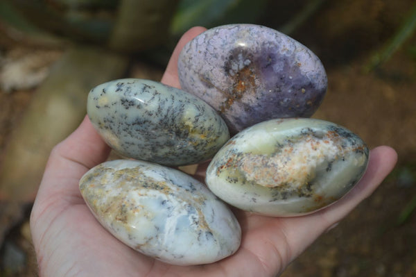 Polished Extra Large Dendritic Opal Palm Stones  x 6 From Madagascar - Toprock Gemstones and Minerals 