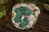 Natural Rare Ball Malachite On Drusy Quartz & Dolomite Matrix Specimens  x 2 From Kambove, Congo - Toprock Gemstones and Minerals 