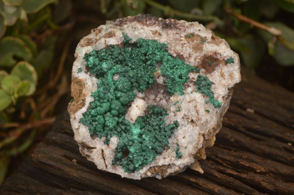 Natural Rare Ball Malachite On Drusy Quartz & Dolomite Matrix Specimens  x 2 From Kambove, Congo - Toprock Gemstones and Minerals 