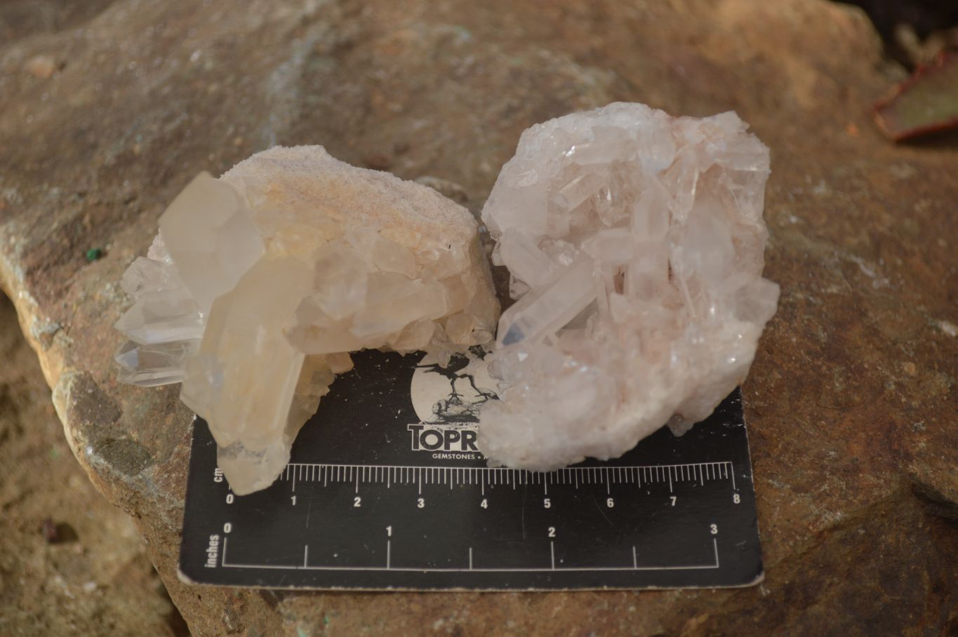 Natural Clear Quartz Crystal Clusters  x 24 From Madagascar - Toprock Gemstones and Minerals 