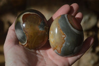 Polished Polychrome Jasper Palm Stones & Heart  x 6 From Madagascar