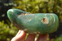 Polished Green Mtorolite "AKA Chrome/Emerald Chrysoprase" Free Forms x 3 From Zimbabwe - TopRock