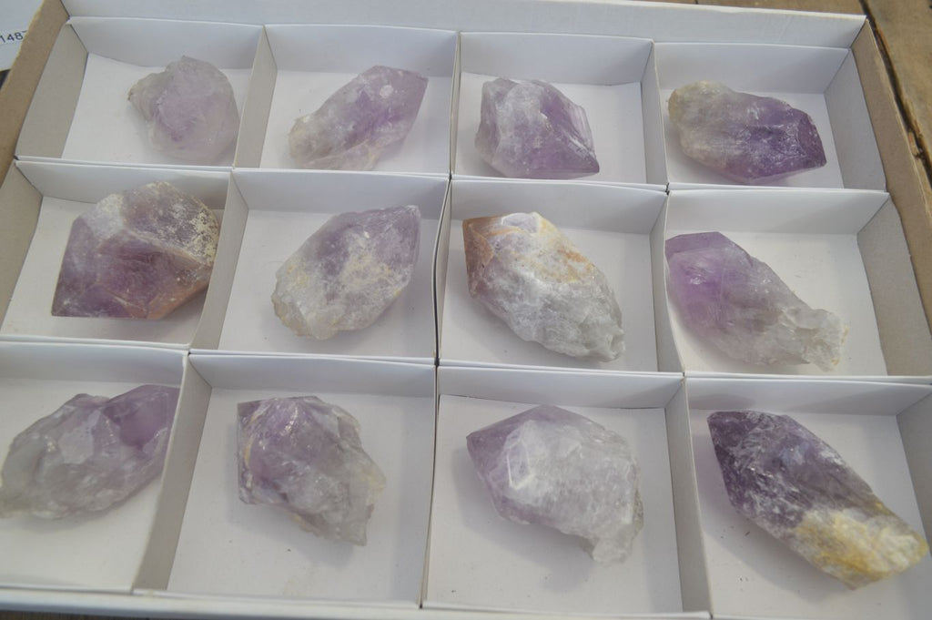Natural Single Jacaranda Amethyst Crystals x 12 From Mumbwe, Zambia - Toprock Gemstones and Minerals 