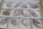 Natural Single Jacaranda Amethyst Crystals x 12 From Mumbwe, Zambia - Toprock Gemstones and Minerals 
