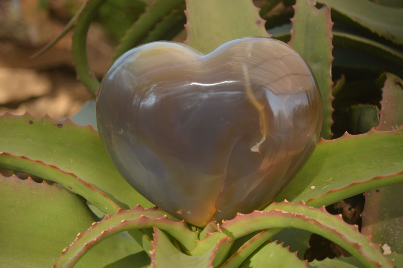 Polished Extra Large Translucent Chalcedony Gemstone Heart x 1 From Madagascar - Toprock Gemstones and Minerals 