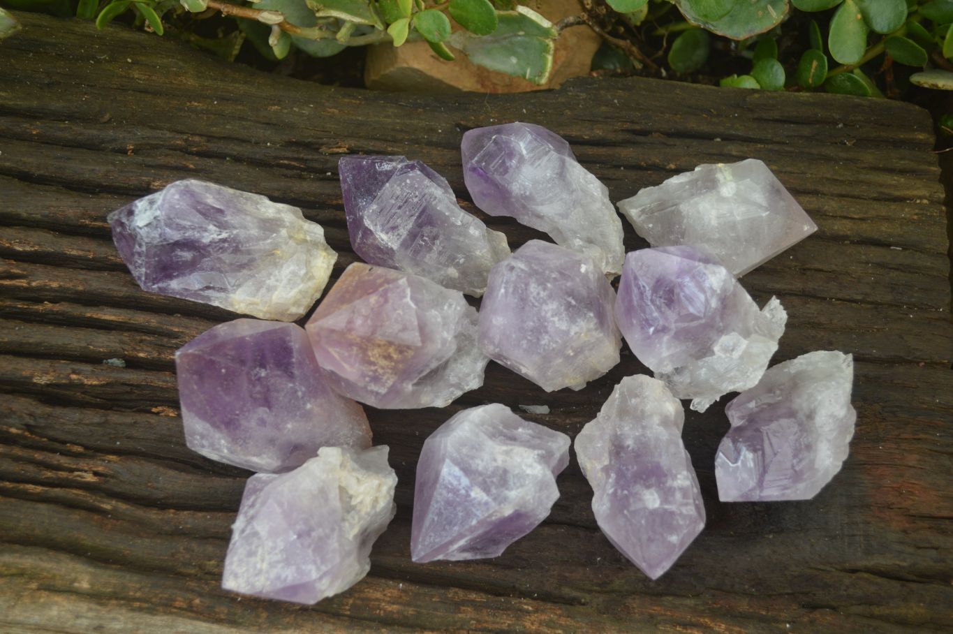 Natural Single Jacaranda Amethyst Crystals x 12 From Mumbwe, Zambia - Toprock Gemstones and Minerals 