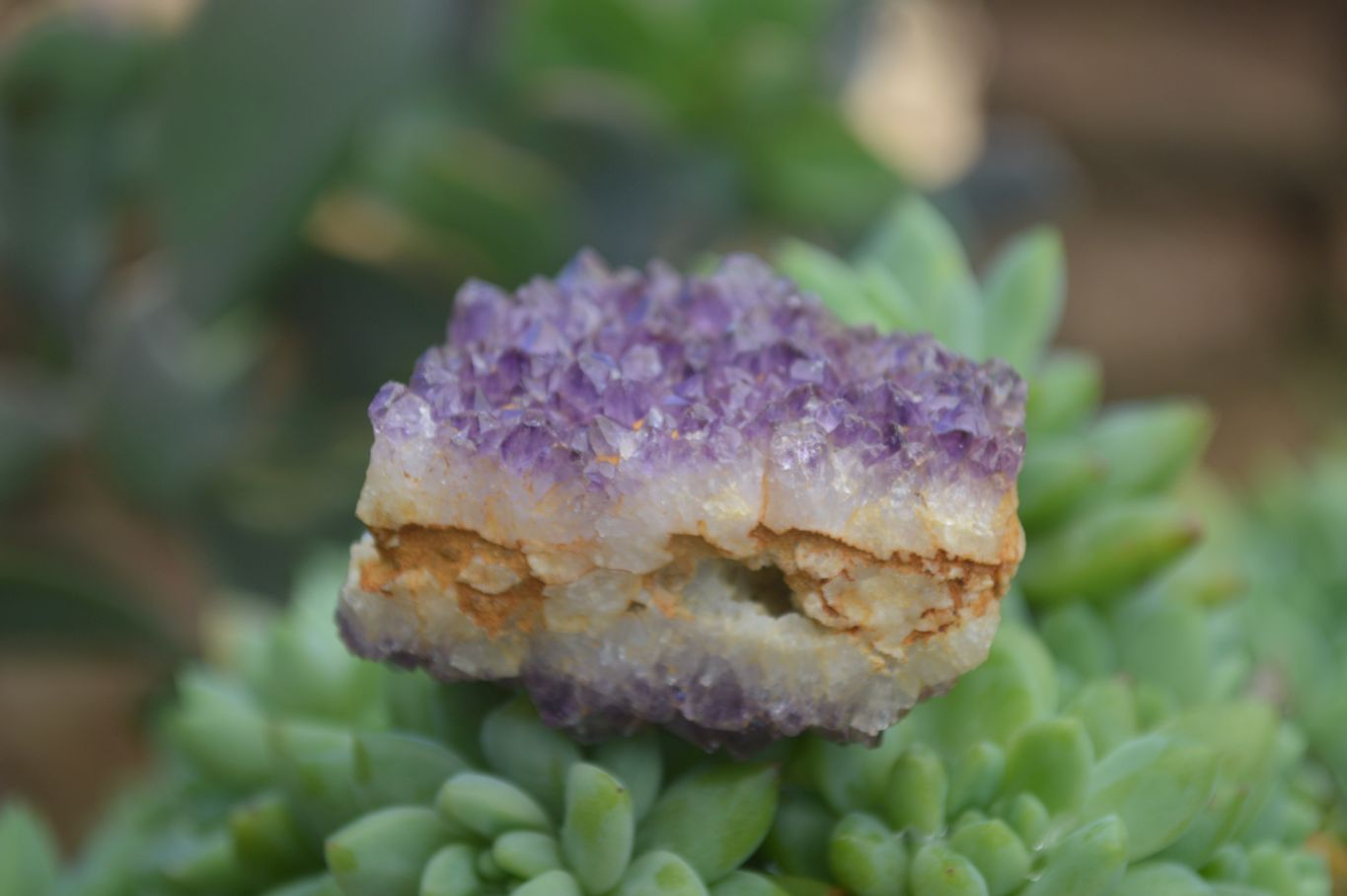 Natural Small Dark "Amethystos" Amethyst Clusters  x 35 From Kwaggafontein, South Africa - Toprock Gemstones and Minerals 