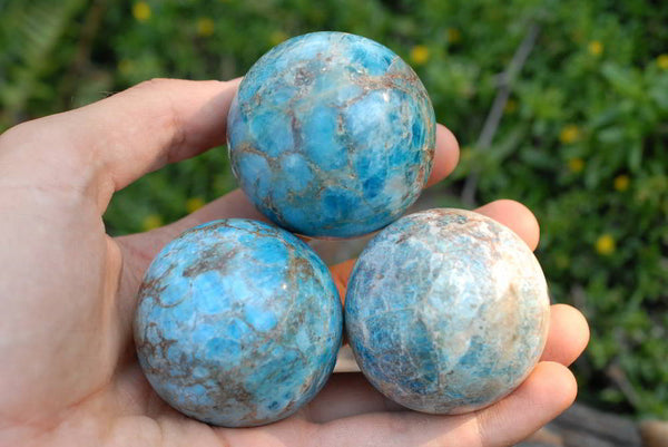 Polished Light Blue Apatite Spheres x 6 From Madagascar - TopRock