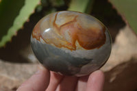 Polished Polychrome Jasper Palm Stones & Heart  x 6 From Madagascar