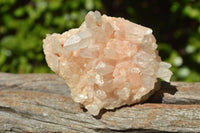 Natural Small Mixed Quartz Clusters x 35 From Madagascar - TopRock