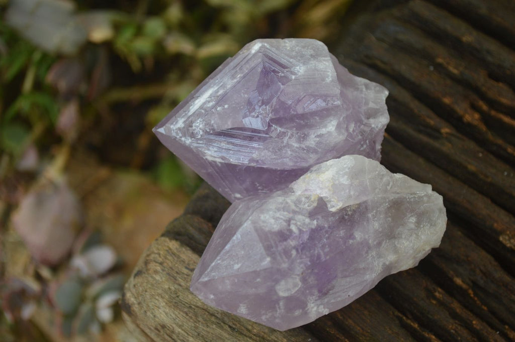 Natural Single Jacaranda Amethyst Crystals x 12 From Mumbwe, Zambia - Toprock Gemstones and Minerals 