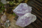 Natural Single Jacaranda Amethyst Crystals x 12 From Mumbwe, Zambia - Toprock Gemstones and Minerals 