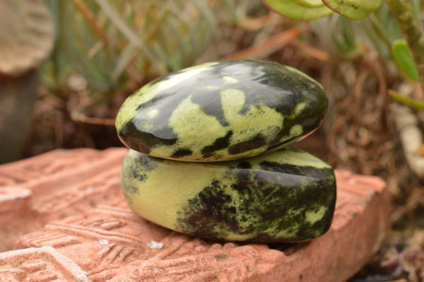 Polished Selected Leopard Stone Free Forms With Nice Colour & Patterns  x 5 From Zimbabwe - TopRock