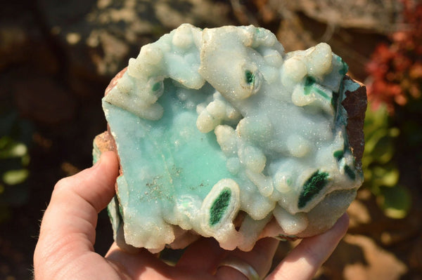 Natural Drusy Chrysocolla Dolomite Specimens  x 2 From Lupoto, Congo - TopRock