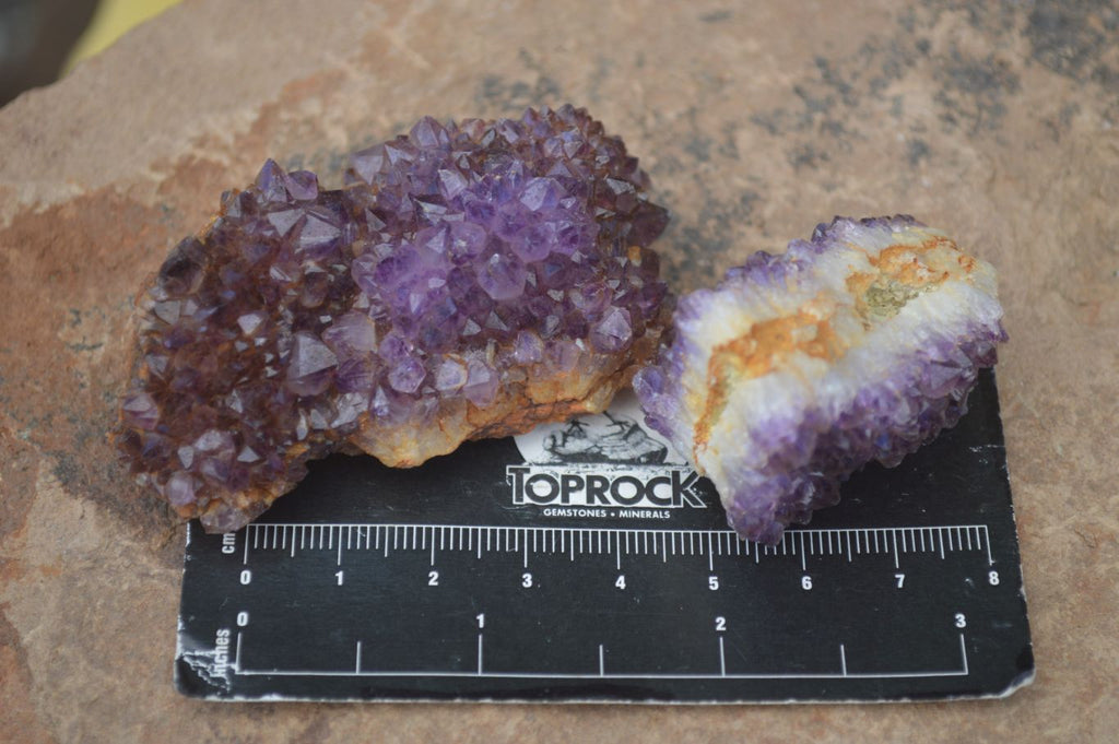 Natural Small Dark "Amethystos" Amethyst Clusters  x 35 From Kwaggafontein, South Africa - Toprock Gemstones and Minerals 