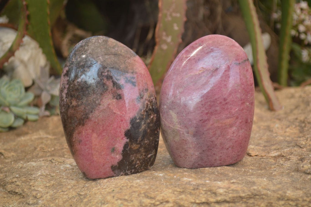 Polished  Pink & Black Rhodonite Standing Free Forms x 2 From Madagascar - Toprock Gemstones and Minerals 