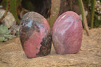 Polished  Pink & Black Rhodonite Standing Free Forms x 2 From Madagascar - Toprock Gemstones and Minerals 