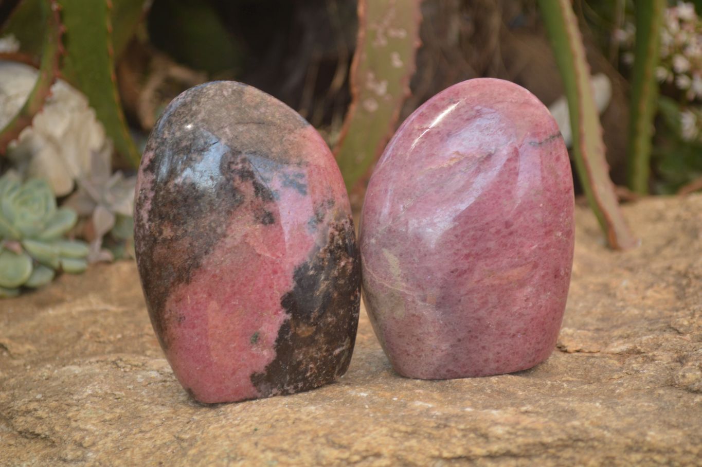 Polished  Pink & Black Rhodonite Standing Free Forms x 2 From Madagascar - Toprock Gemstones and Minerals 