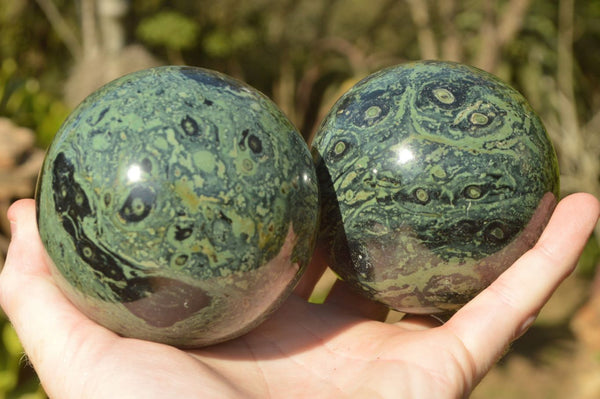 Polished Stromatolite / Kambaba Jasper Spheres x 2 From Madagascar - TopRock