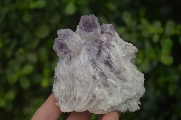 Natural Sugar Amethyst Clusters  x 4 From Zambia - Toprock Gemstones and Minerals 