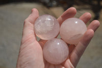 Polished Star Rose Quartz Spheres x 12 From Ambatondrazaka, Madagascar - TopRock