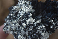 Natural Schorl Black Tourmaline Specimens  x 6 From Erongo, Namibia - Toprock Gemstones and Minerals 